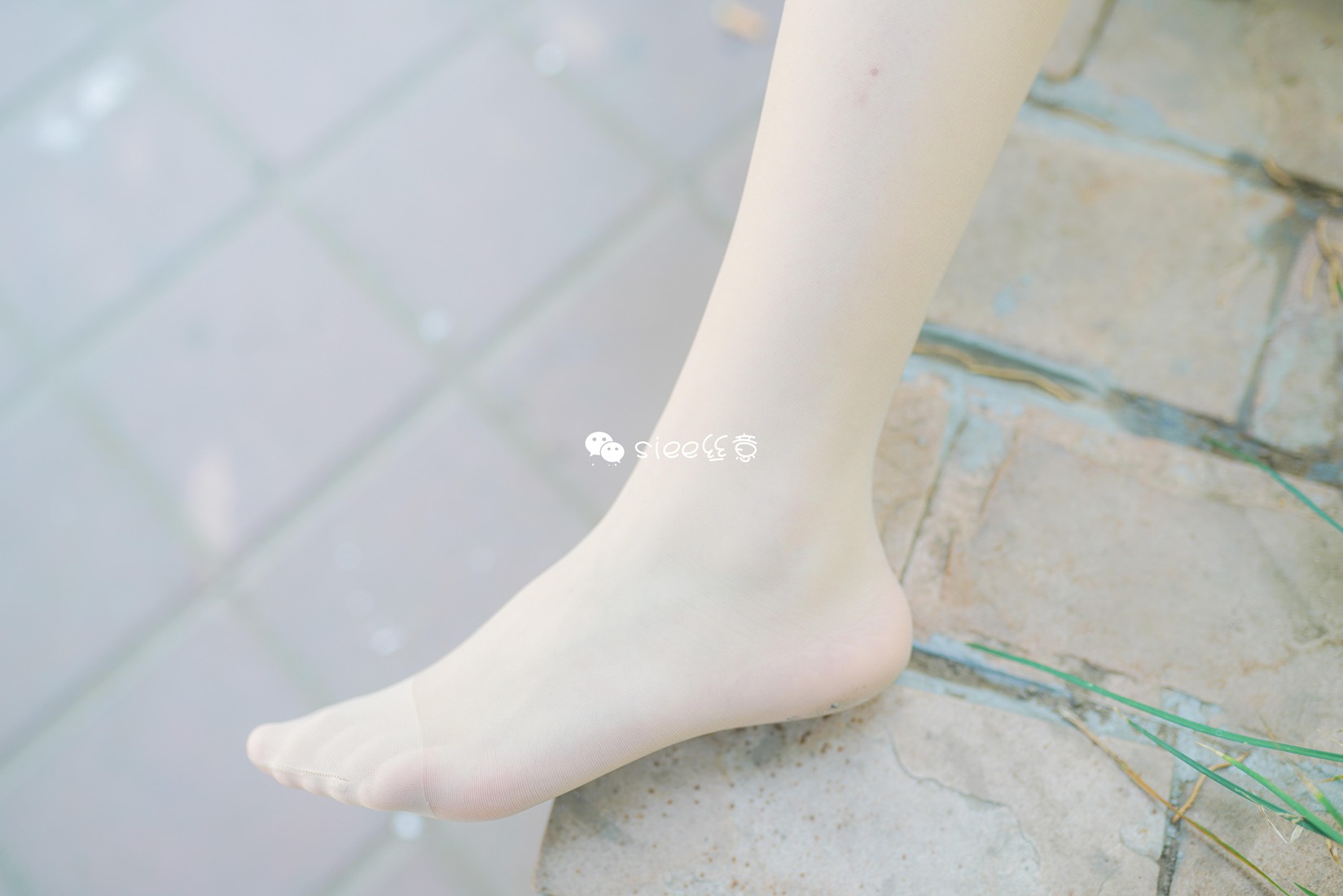 图片[2]-[SIEE丝意] No.349 玲玲 新师妹，仲夏之思 在线浏览-萌味圈