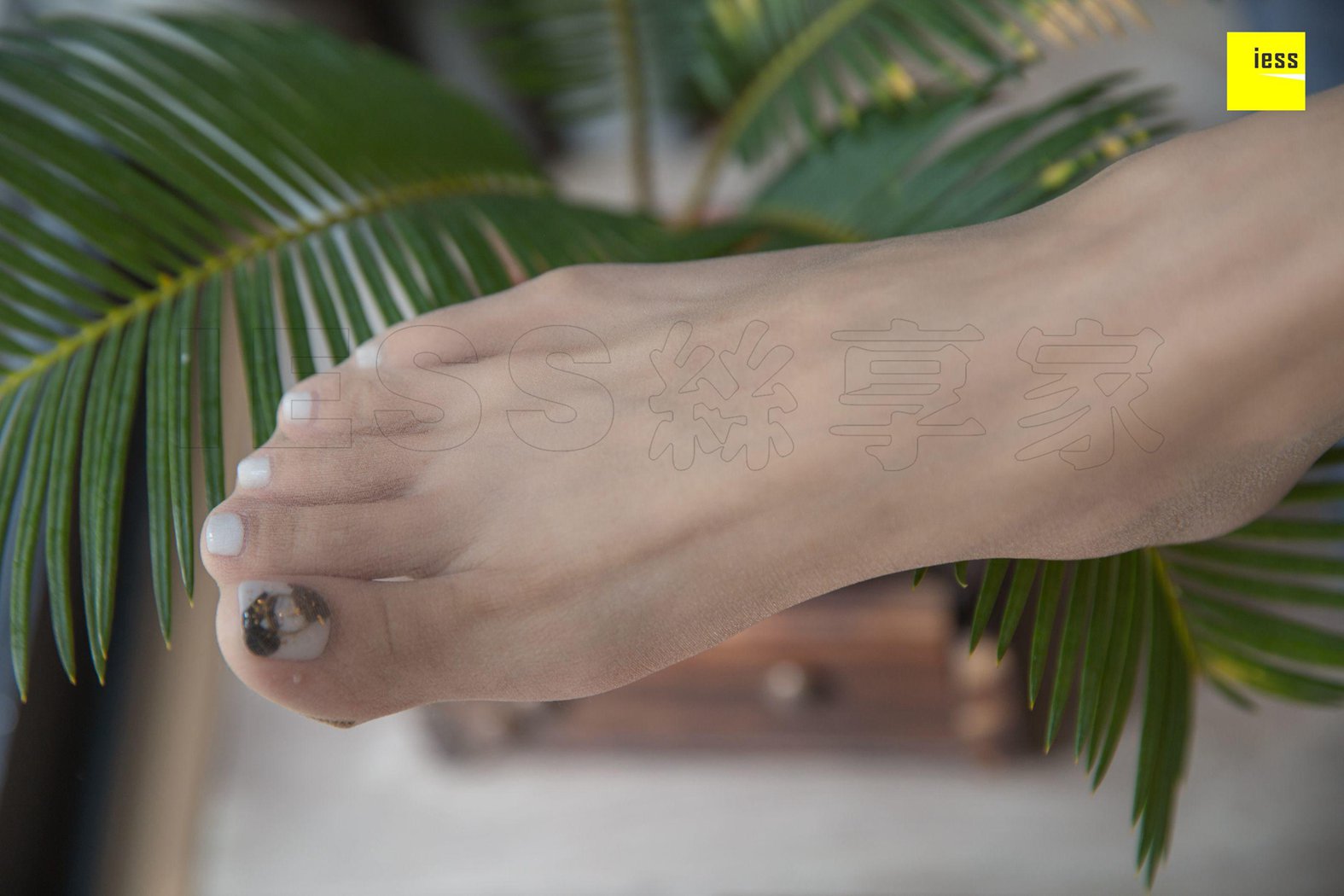 图片[2]-[IESS异思趣向] 2018.10.24 丝享家344：《辣妈热裤凉拖》辣妈（君君） 在线浏览-萌味圈