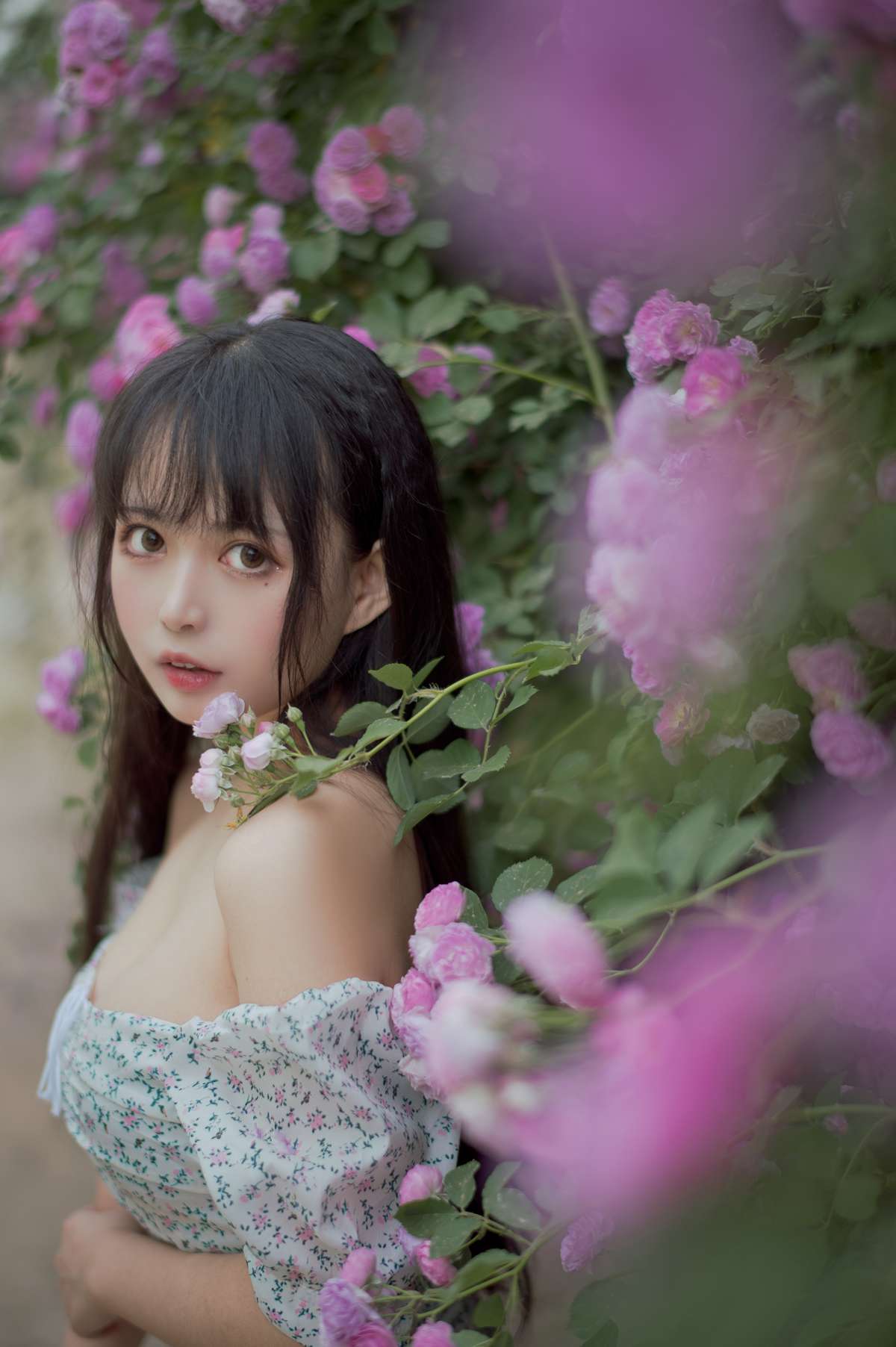 图片[2]-黑猫猫OvO – 蔷薇2[27P]-萌味圈