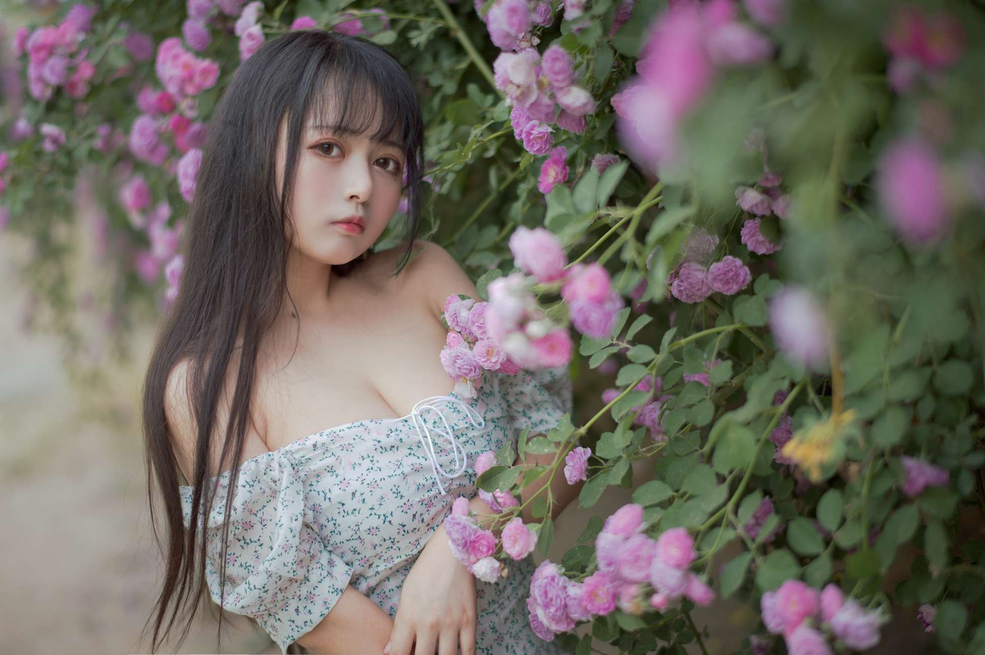 图片[2]-[喵糖映画]VOL.338 蔷薇少女[24P]-萌味圈