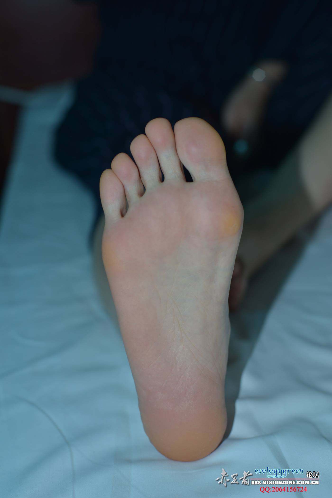 图片[2]-Ecologygreen摄影作品 NO.032 精致的每足[35P]-萌味圈