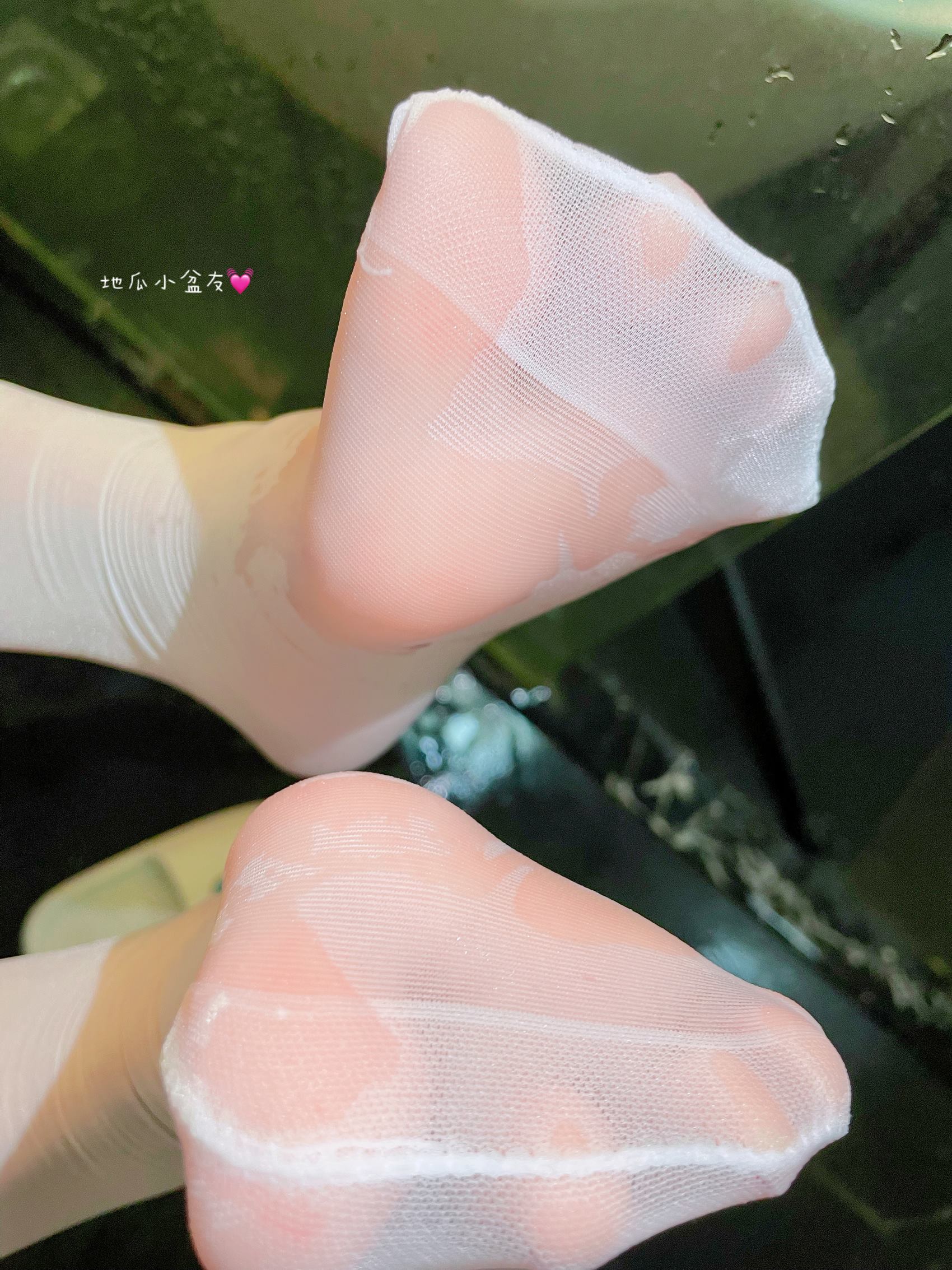 图片[2]-网紅Coser@地瓜小朋友 -猫咪[17P]-萌味圈