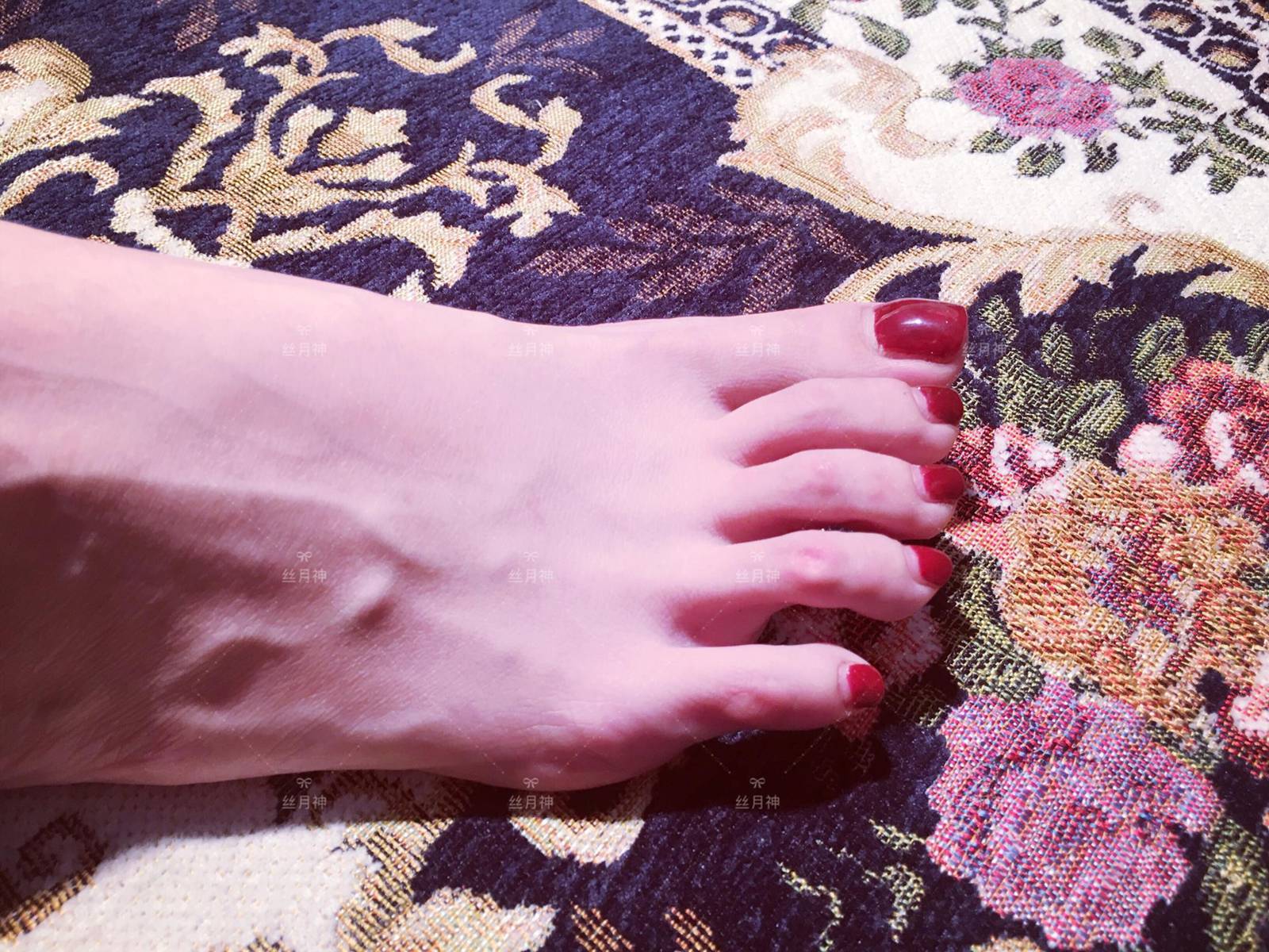 图片[2]-丝月神 NO.019-2019-04-13 裸足[24P]-萌味圈