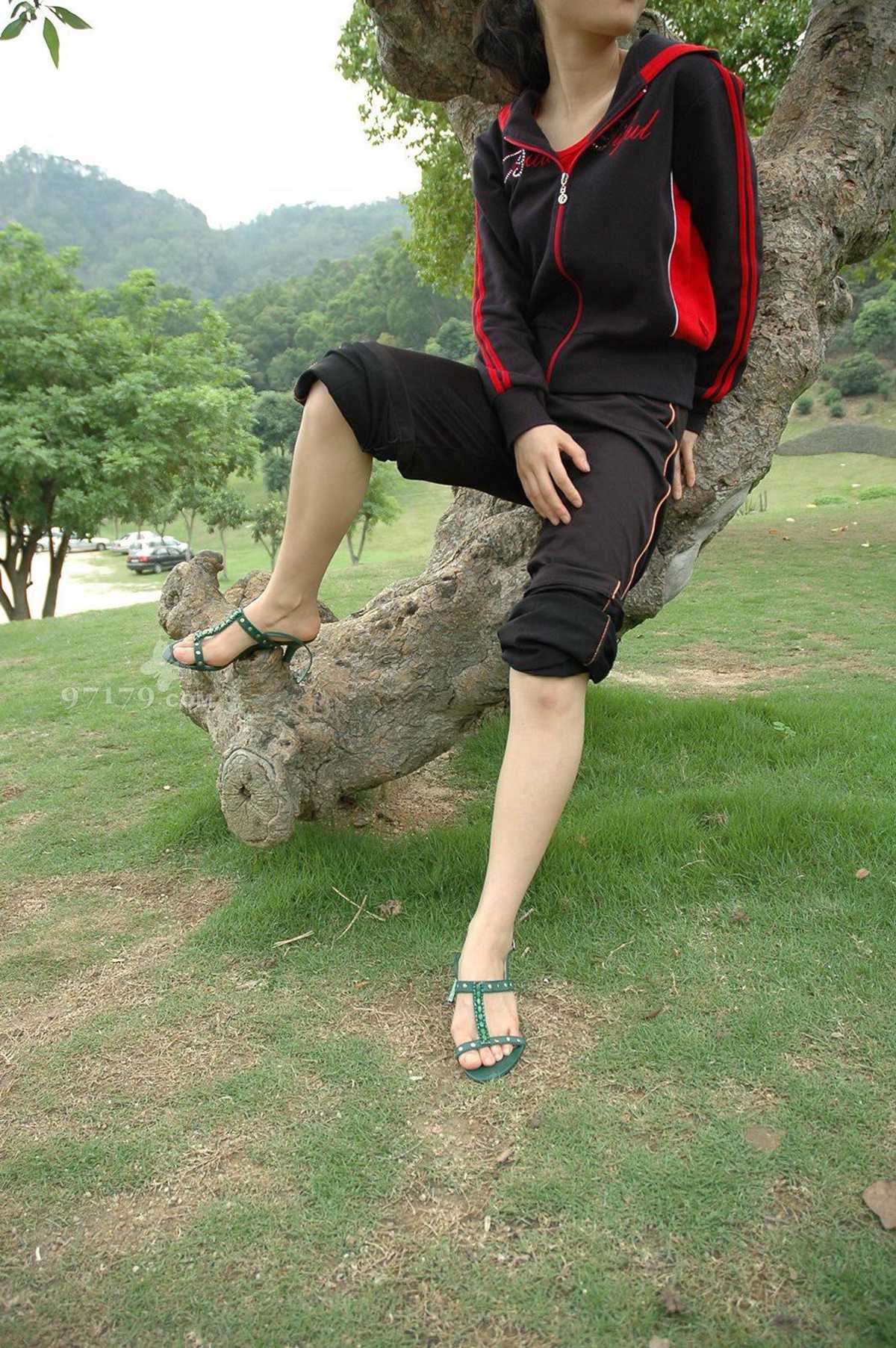 图片[2]-97179 NO.011-浪漫樱花大树下栖息[6P]-萌味圈