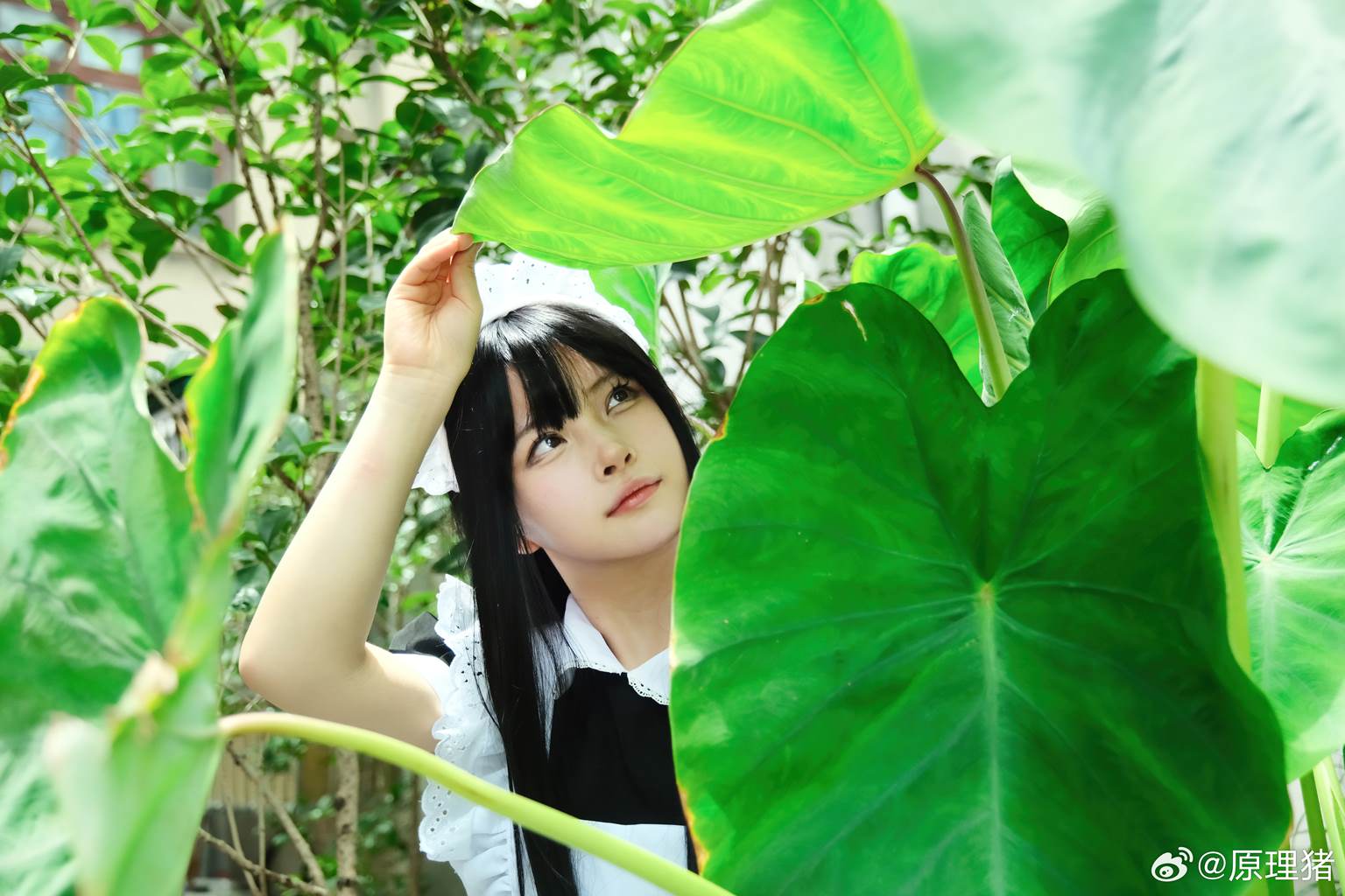 图片[2]-白莉爱吃巧克力 – 原理猪 深巷女仆[11P]-萌味圈