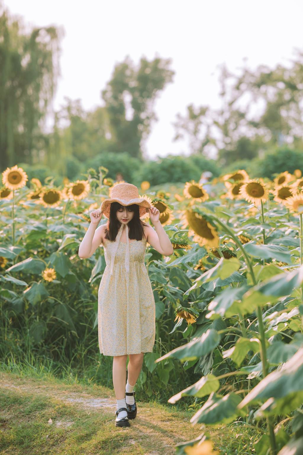 图片[2]-[YITUYU艺图语]2022.11.06 向阳而生 金盏璃[25+1P]-萌味圈