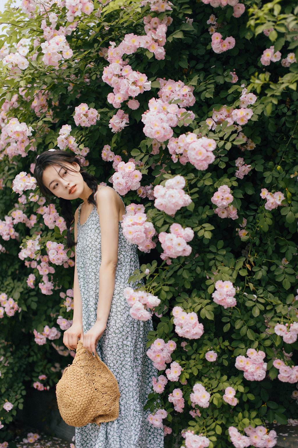 图片[2]-[YITUYU艺图语]2022.11.08 蔷薇 九月[26+1P]-萌味圈