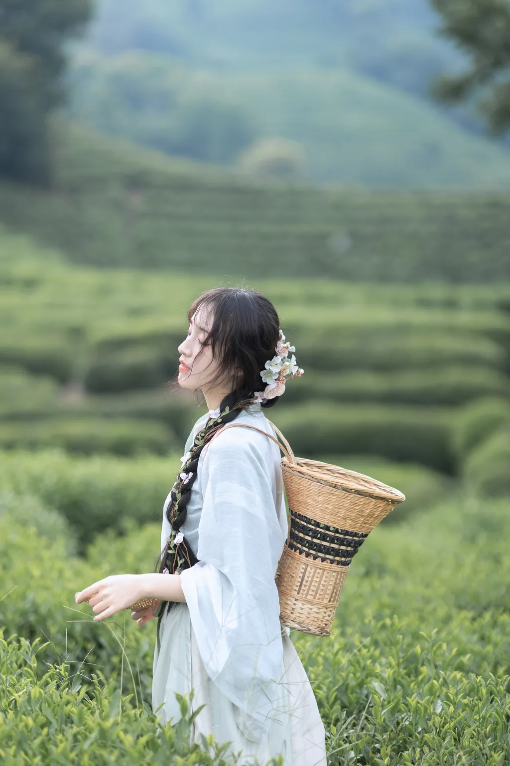 图片[5]-[YITUYU艺图语]2022.11.10 采茶纪 方莛玉[53+1P]-萌味圈