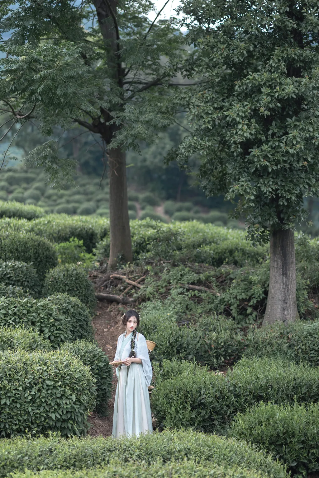 图片[8]-[YITUYU艺图语]2022.11.10 采茶纪 方莛玉[53+1P]-萌味圈