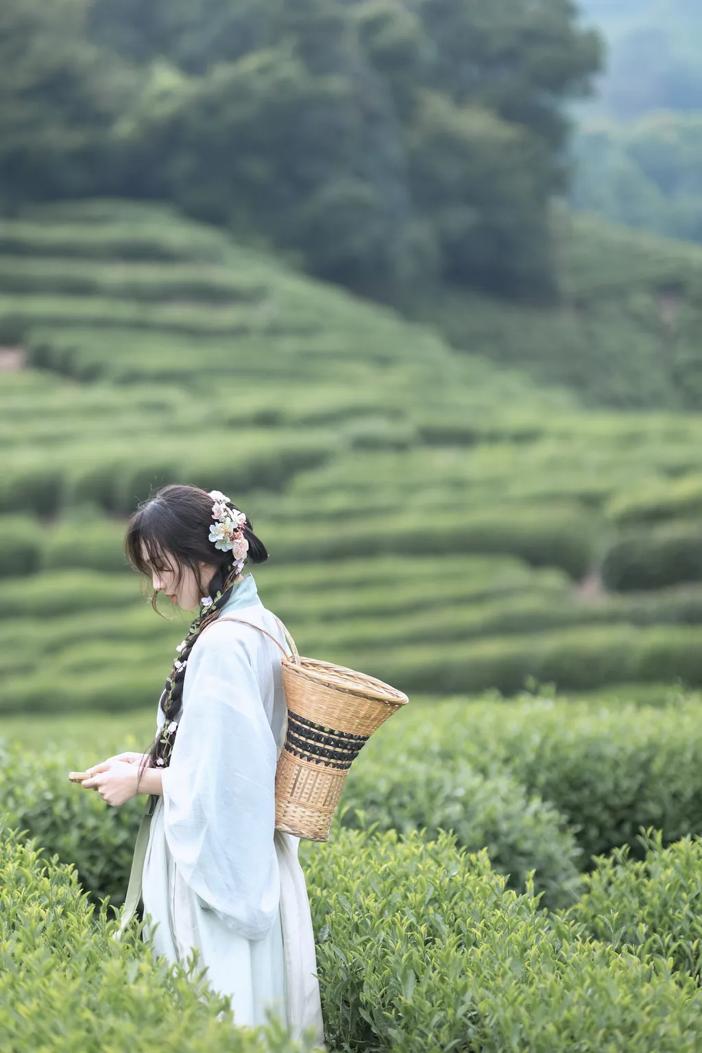 图片[10]-[YITUYU艺图语]2022.11.10 采茶纪 方莛玉[53+1P]-萌味圈