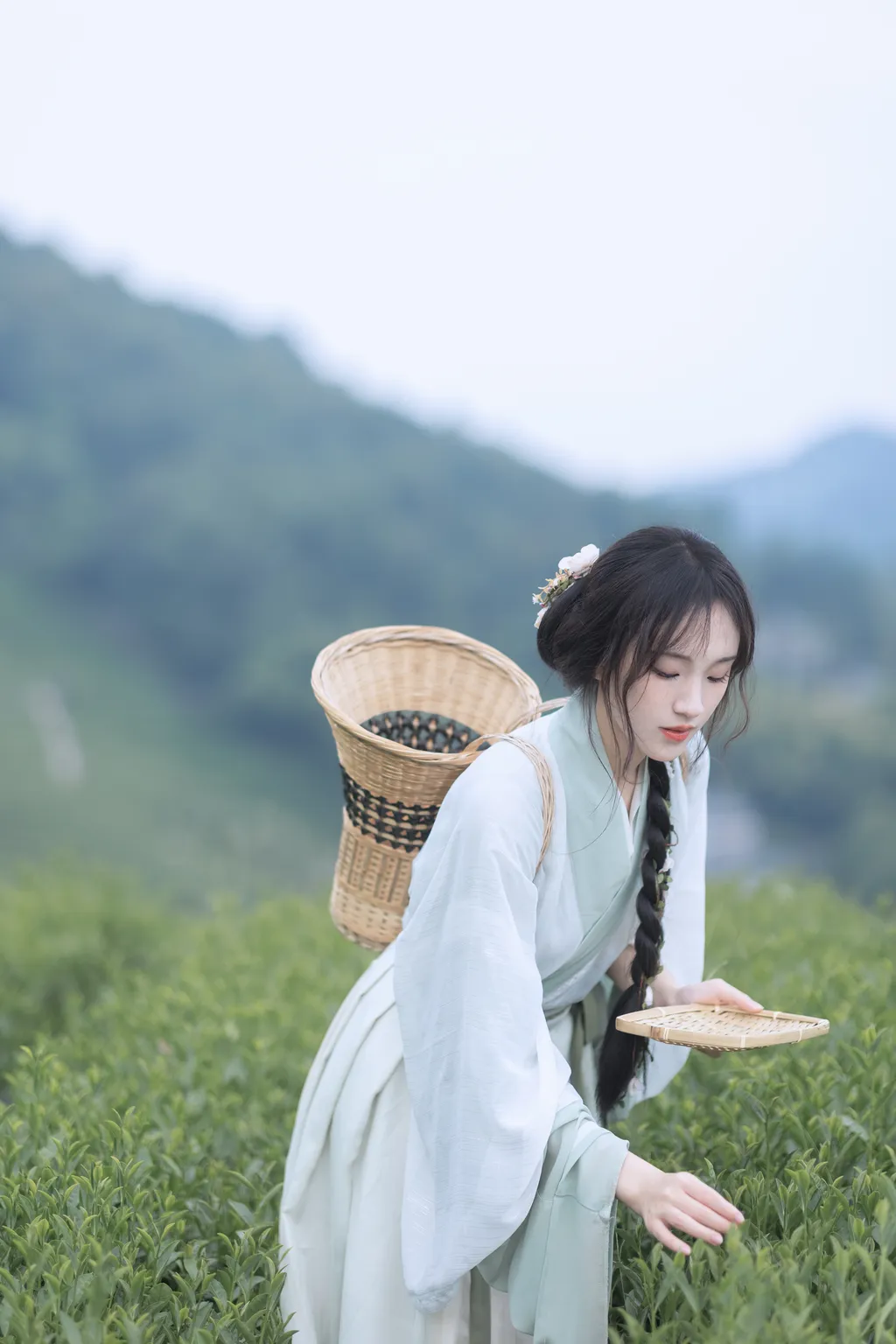 图片[17]-[YITUYU艺图语]2022.11.10 采茶纪 方莛玉[53+1P]-萌味圈