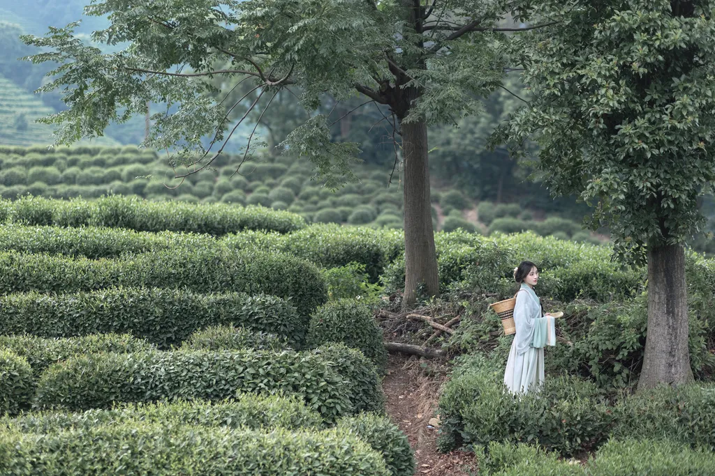 图片[28]-[YITUYU艺图语]2022.11.10 采茶纪 方莛玉[53+1P]-萌味圈