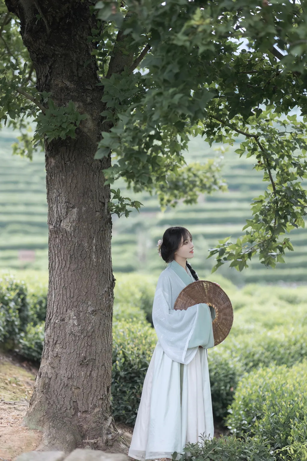 图片[33]-[YITUYU艺图语]2022.11.10 采茶纪 方莛玉[53+1P]-萌味圈