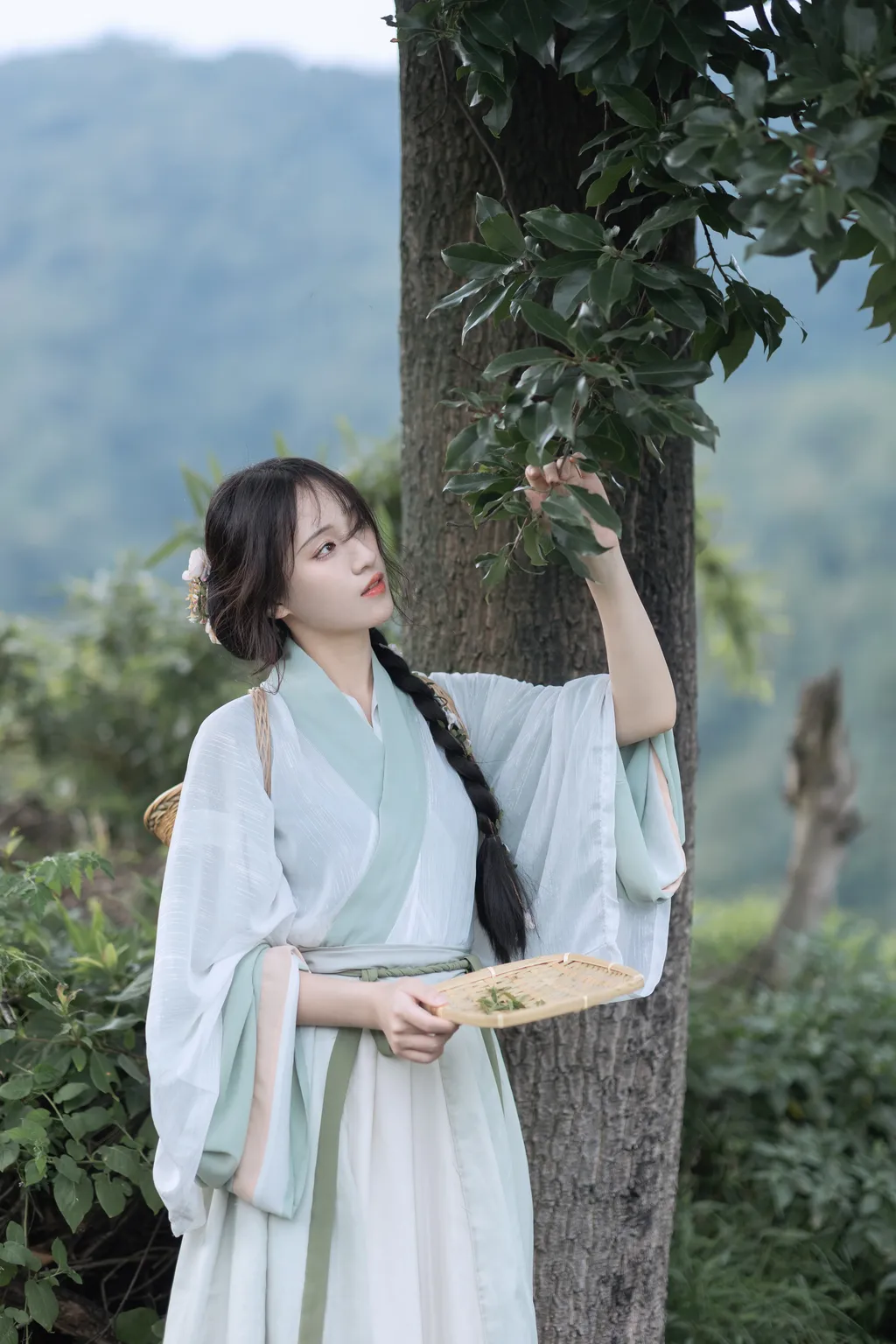 图片[39]-[YITUYU艺图语]2022.11.10 采茶纪 方莛玉[53+1P]-萌味圈