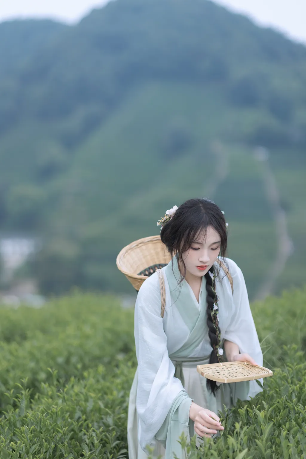 图片[43]-[YITUYU艺图语]2022.11.10 采茶纪 方莛玉[53+1P]-萌味圈