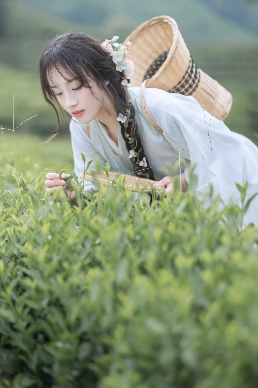 图片[45]-[YITUYU艺图语]2022.11.10 采茶纪 方莛玉[53+1P]-萌味圈