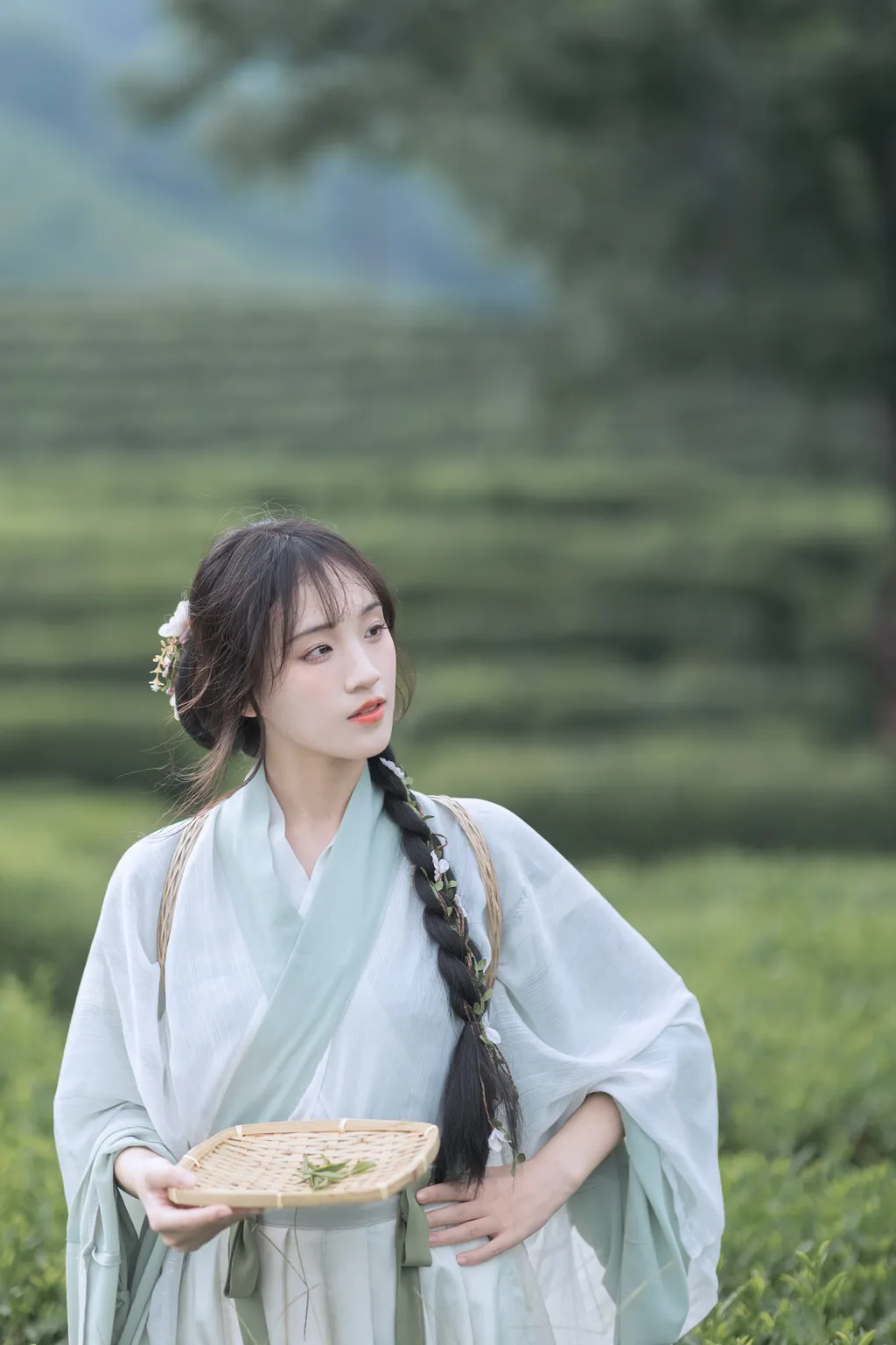 图片[50]-[YITUYU艺图语]2022.11.10 采茶纪 方莛玉[53+1P]-萌味圈