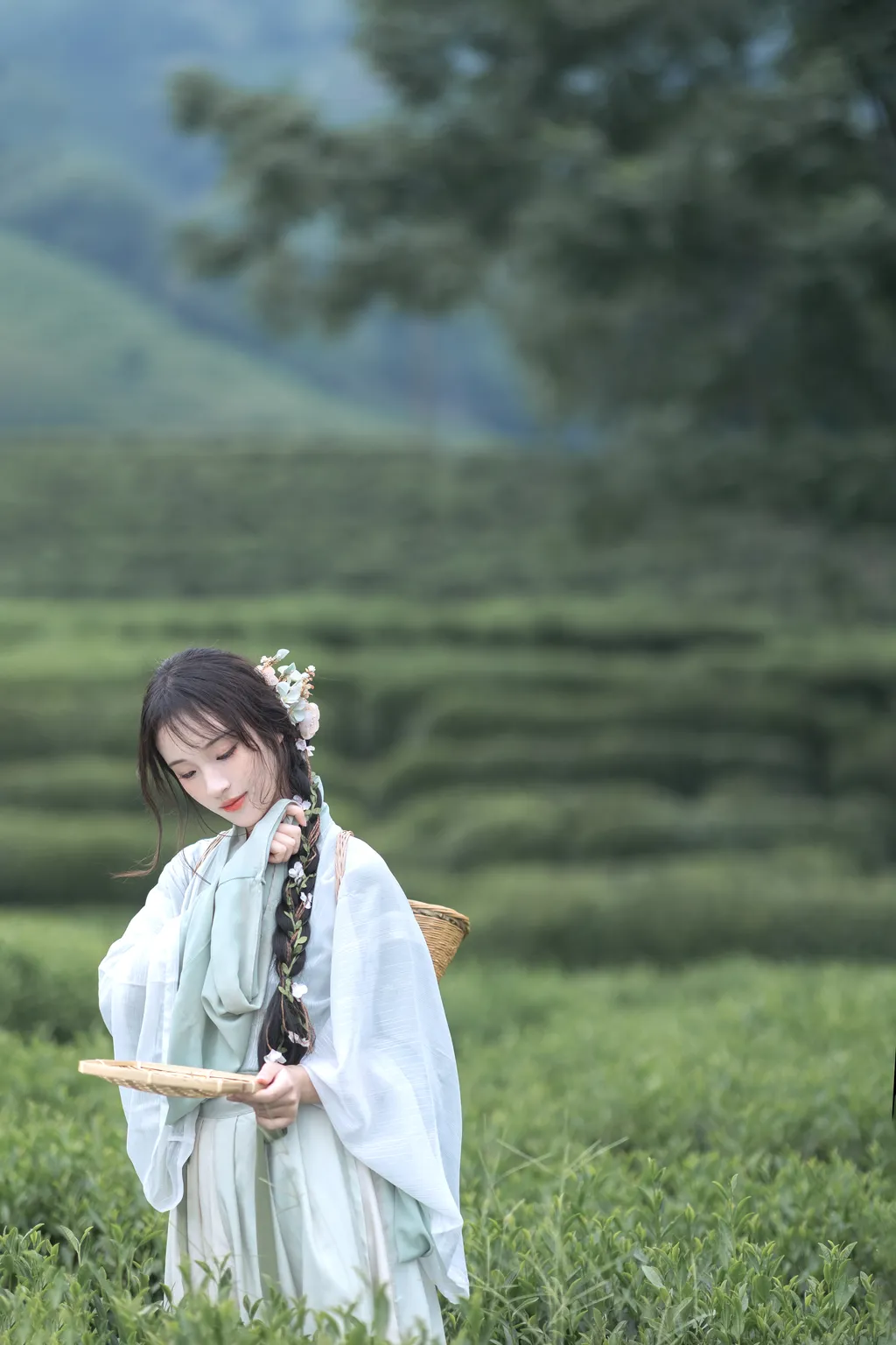 图片[56]-[YITUYU艺图语]2022.11.10 采茶纪 方莛玉[53+1P]-萌味圈